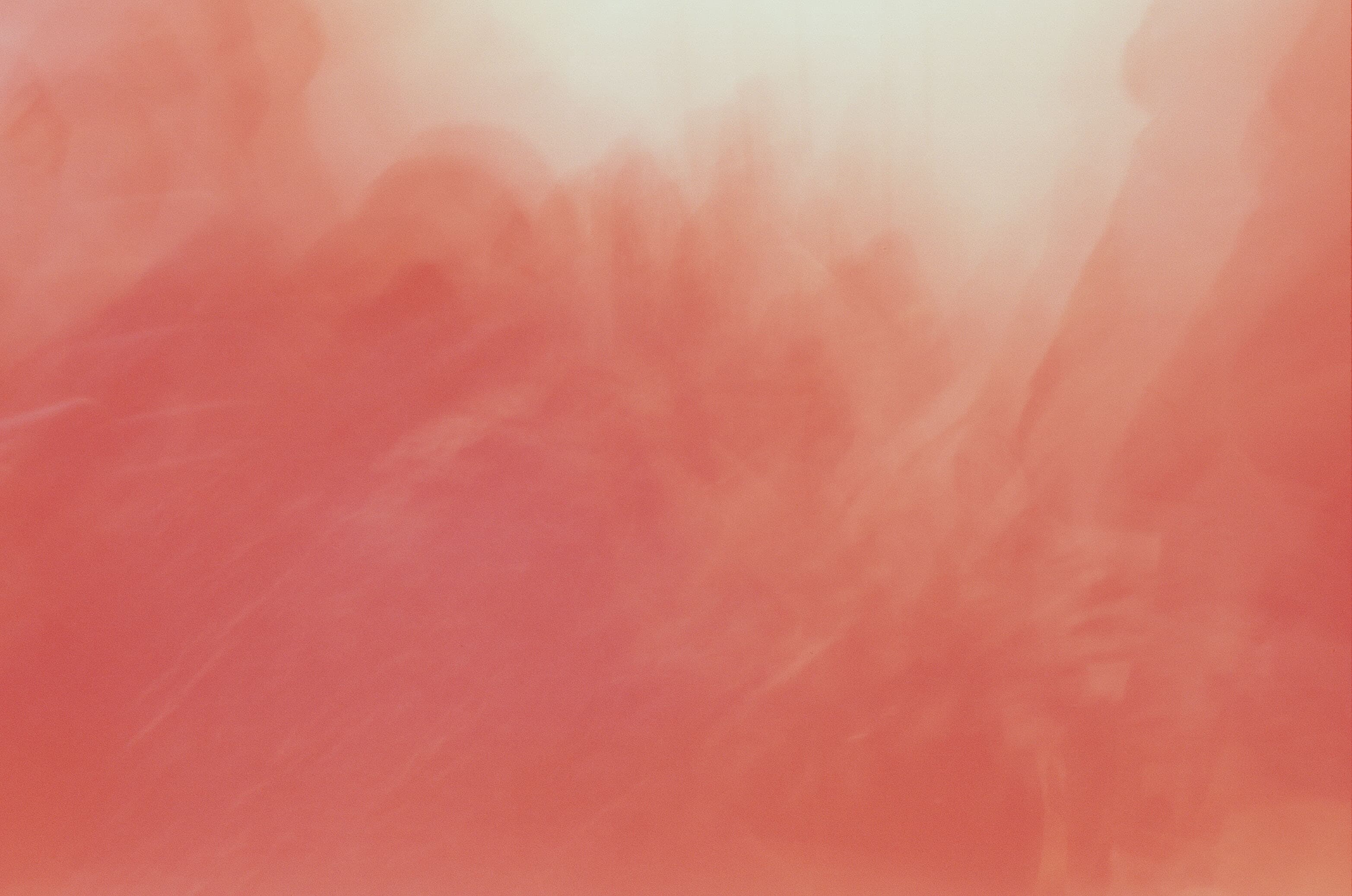palette